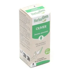 HerbalGem Olivier Jeunes pousses bio
