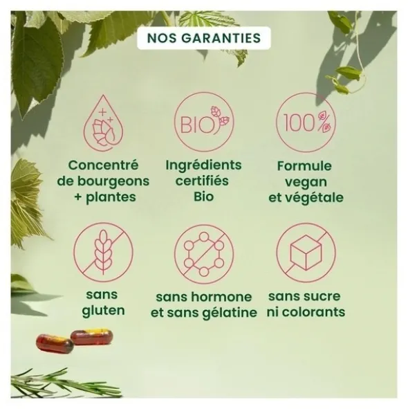 Herbalgem Post ménopause gélules