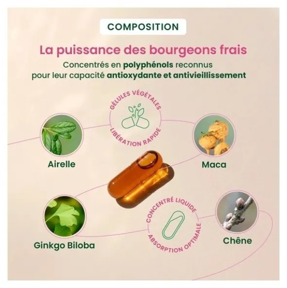 Herbalgem Post ménopause gélules