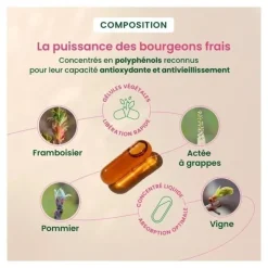 HerbalGem périménopause gélules