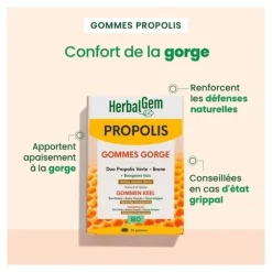 Herbalgem Propolis Gommes Gorge Bio