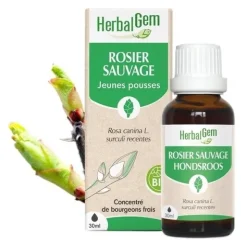 HerbalGem Rosier sauvage Concentré de bourgeons bio
