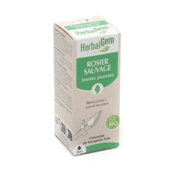 HerbalGem Rosier sauvage Concentré de bourgeons bio