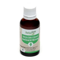 HerbalGem Sequoia géant