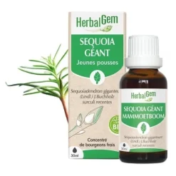 HerbalGem Sequoia géant