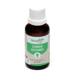 HerbalGem Sorbier concentré de bourgeons bio