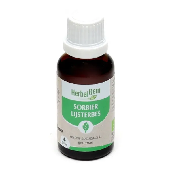 HerbalGem Sorbier concentré de bourgeons bio
