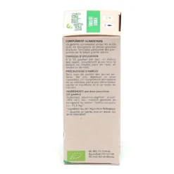 HerbalGem Sorbier concentré de bourgeons bio