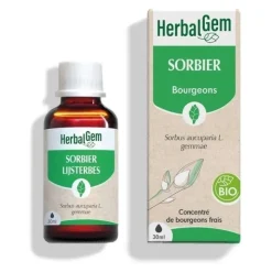 HerbalGem Sorbier concentré de bourgeons bio