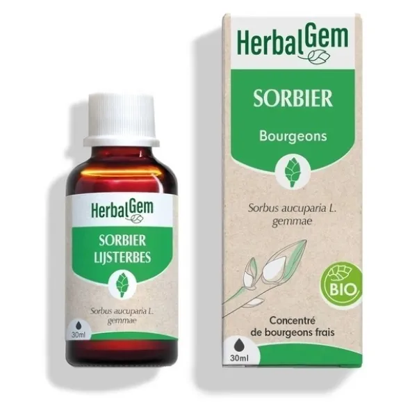 HerbalGem Sorbier concentré de bourgeons bio