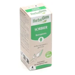 HerbalGem Sorbier concentré de bourgeons bio