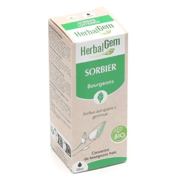 HerbalGem Sorbier concentré de bourgeons bio