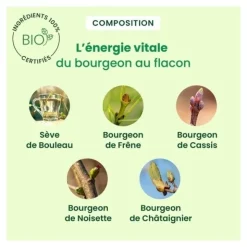HerbalGem sève minceur celluseve bio solution buvable