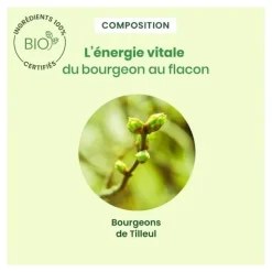 HerbalGem Tilleul bourgeons Bio