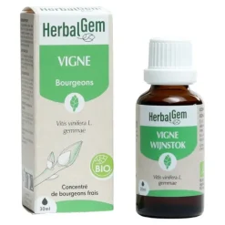 HerbalGem Vigne Macérat de bourgeons bio