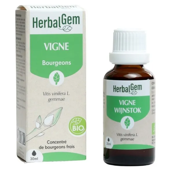 HerbalGem Vigne Macérat de bourgeons bio