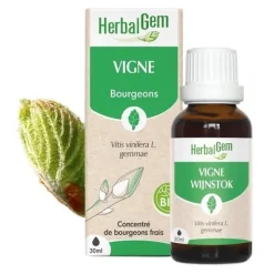 HerbalGem Vigne Macérat de bourgeons bio