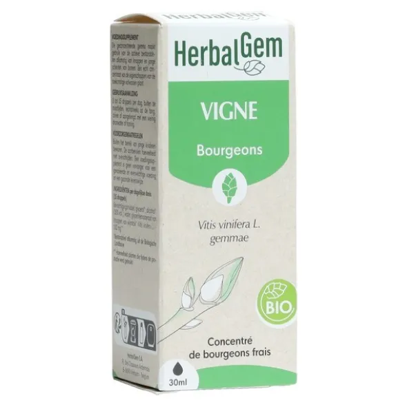 HerbalGem Vigne Macérat de bourgeons bio