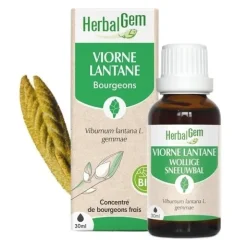 HerbalGem Viorne Lantane bourgeons Bio