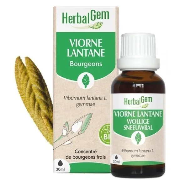 HerbalGem Viorne Lantane bourgeons Bio