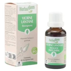 HerbalGem Viorne Lantane bourgeons Bio