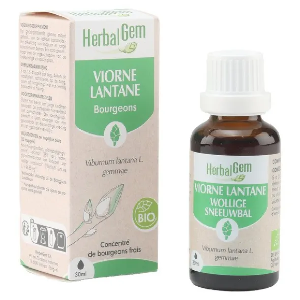 HerbalGem Viorne Lantane bourgeons Bio