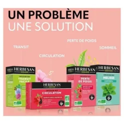 Herbesan infusion bio allaitement sachets