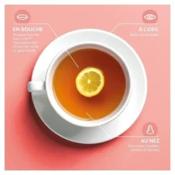 Herbesan infusion bio allaitement sachets