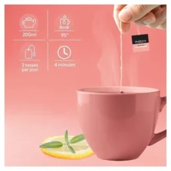 Herbesan infusion bio allaitement sachets