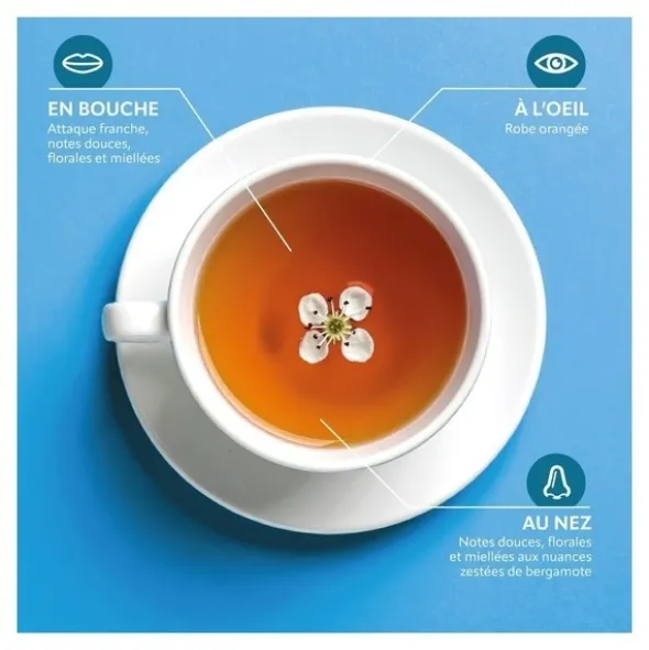 Herbesan infusion bio Nuit paisible sachets