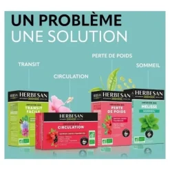 Herbesan infusion bio Respiratoire sachets