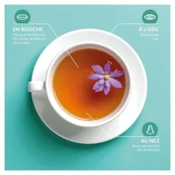 Herbesan infusion bio Respiratoire sachets