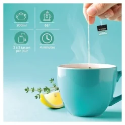 Herbesan infusion bio Respiratoire sachets