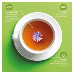 Herbesan infusion bio Transit facile