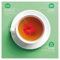 Herbesan infusion Detox bio sachets
