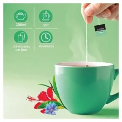 Herbesan infusion Detox bio sachets