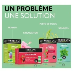 Herbesan infusion Detox bio sachets