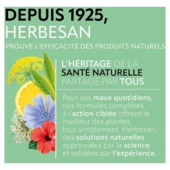 Herbesan infusion Detox bio sachets