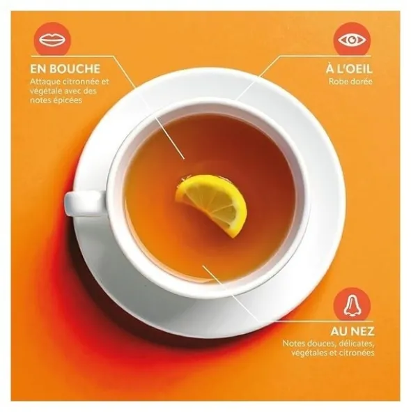 Herbesan sachet infusion bio ventre plat