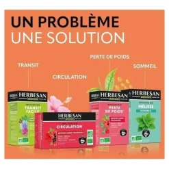 Herbesan sachet infusion bio ventre plat