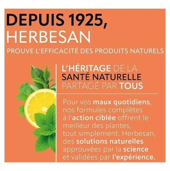 Herbesan sachet infusion bio ventre plat