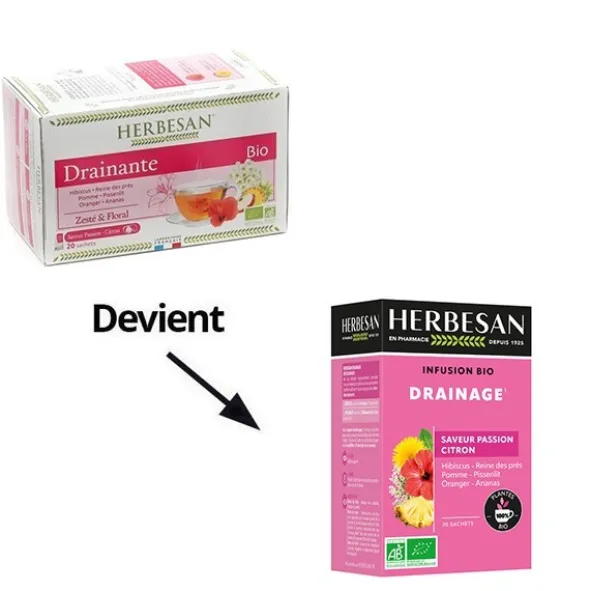 Herbesan sachets infusion bio drainante