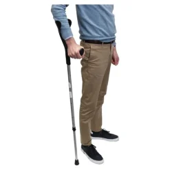 Herdegen canne anglaise Evolution