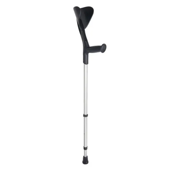 Herdegen canne anglaise Evolution
