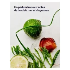 Horace Déodorant Protection 12h