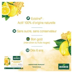 Humer Mal de gorge aigu Pharyngite Miel Citron pastilles