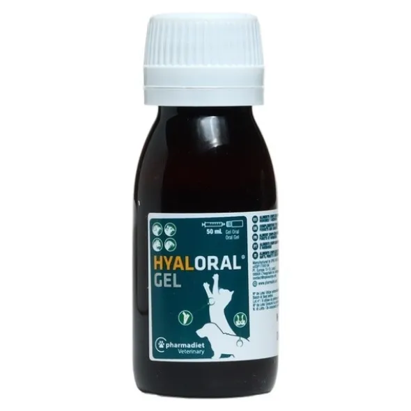 Hyaloral Gel oral