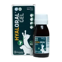 Hyaloral Gel oral