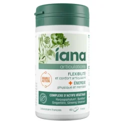 Iana articulations flexibilité et énergie comprimé