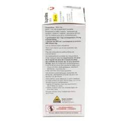 Ibuprofène enfant sirop sans sucre Viatris